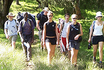 Mount Kenya Day Trip Hike Chogoria Route