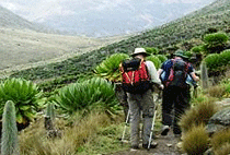 Mount Kenya Climb 1 Day Hike Naro Moru Route