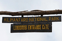 Climbing Mt Kilimanjaro 1 Day Shira Route