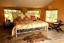 Nairobi Tented Safari Camp Nairobi National Park