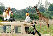 Nairobi Tented Safari Camp Nairobi National Park