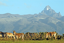 Mount Kenya Day Trip Hike Sirimon Route 