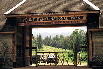 Mount Kenya Climb 1 Day Hike Naro Moru Route