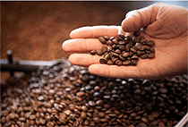  Arusha Cultural Day Tour Nkoaranga Village