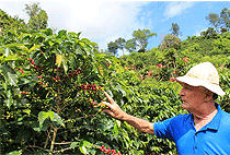  Arusha Cultural Day Tour Nkoaranga Village
