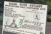 Sabaki River Estuary Malindi Bird Watching Day Trip