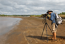 Sabaki River Estuary Malindi Bird Watching Day Trip