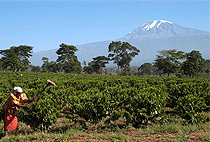 Arusha 1 Day Sakila Village Tour Stingless Bees Project 