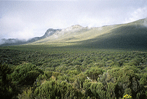 Climbing Mt Kilimanjaro 1 Day Shira Route