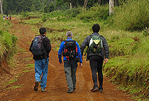 Mount Kenya Day Trip Hike Sirimon Route