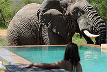 Taita Hills Wildlife Sanctuary Safari 3 Days 2 Nights 