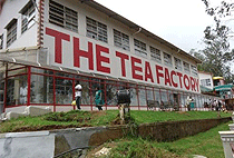 3 Days 2 Nights Kenya Coffee Farm Tea Plantation Tour