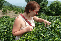 3 Days 2 Nights Kenya Coffee Farm Tea Plantation Tour