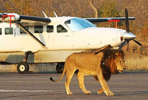 Amboseli Serena Safari Lodge 3 Days 2 Nights Flying Package