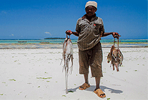 Dar-es-Salaam Cultural Day Tour Gezaulole Village