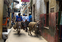 3 Days 2 Nights Lamu Island Flying Beach Holiday 