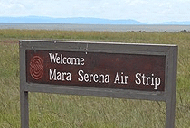 2 Days Mara Serena Safari Lodge Luxury Flying Safari 