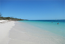 Dar-es-salaam 1 Day Tour Mbudya Island Trip