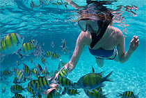 Dar-es-salaam 1 Day Tour Mbudya Island Trip