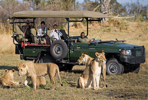 Mwanza Serengeti National Park Day Trip Tanzania