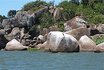 Mwanza City Day Trip Saanane Island National Park