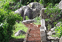 Mwanza City Day Trip Saanane Island National Park