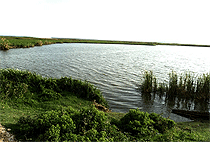 Nyangoma Kogelo Village Kisumu Cultural Day Trip