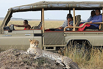 6 Days 5 Nights Samburu Nakuru Masai Mara Kenya Safari 