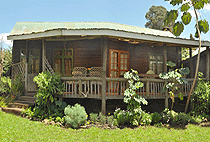 Albizia Cottage Kembu Cottages Campsite Farm Stay Njoro Nakuru 