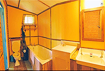 Albizia Self Catering Holiday Cottage Kembu Farm Njoro