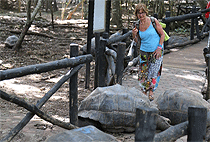 Dar es salaam 1 Day Tour Zanzibar Island