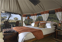 6 Days 5 Nights Samburu Nakuru Masai Mara Kenya Safari 