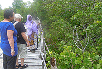 Chale Island Mombasa 1 Day Excursion 