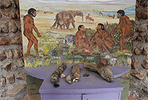 1 Day Prehistoric Sites Tour Kariandusi Hyrax Hill 