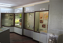 1 Day Prehistoric Sites Tour Kariandusi Hyrax Hill 