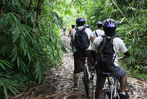 Nairobi Hiking Tour 2 Hour Walk Karura Forest