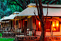 Larsens Camp Samburu 2 Days 1 Night Flying Safari Package