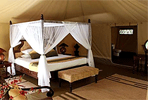 6 Days 5 Nights Samburu Nakuru Masai Mara Kenya Safari