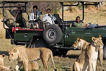 Mara Serena Safari Lodge 3 Days 2 Nights Flying Package