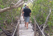 Mida Creek Gedi Ruins Mombasa 1 Day Tour