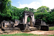 Mida Creek Gedi Ruins Mombasa 1 Day Tour