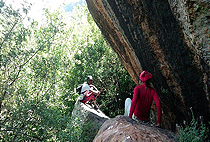 Nairobi City Tours Nairobi Hiking Day Tour Olorngelai Nature Trail