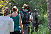 Saadani National Park Day Trip Dar es Salaam Safari
