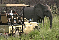 Larsens Camp Samburu 2 Days 1 Night Flying Safari Package