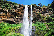 Kampala Day Tour Sezibwa Falls Buganda Cultural Experience