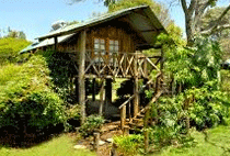 Kembu Cottages Campsite Farm Stay Njoro Nakuru The Tree House