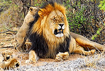 2 Days Uganda Road Safari Holidays