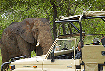 Kigali Rwanda 1 Day Trips Excursions Safaris