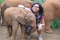 Nairobi National Park Elephant Orphanage Giraffe Centre Tour