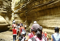 Hells Gate National Park Lake Naivasha 1 Day Tour